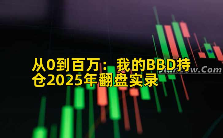 从0到百万:我的BBD持仓2025年翻盘实录