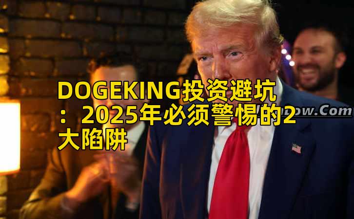 DOGEKING投资避坑：2025年必须警惕的2大陷阱