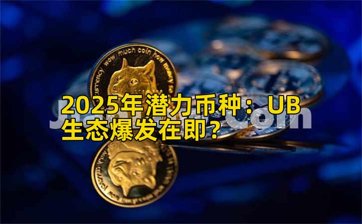 2025年潜力币种：UB生态爆发在即？