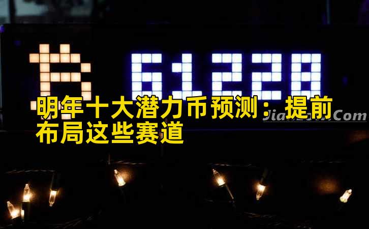 明年十大潜力币预测：提前布局这些赛道