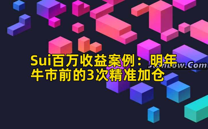 Sui百万收益案例：明年牛市前的3次精准加仓
