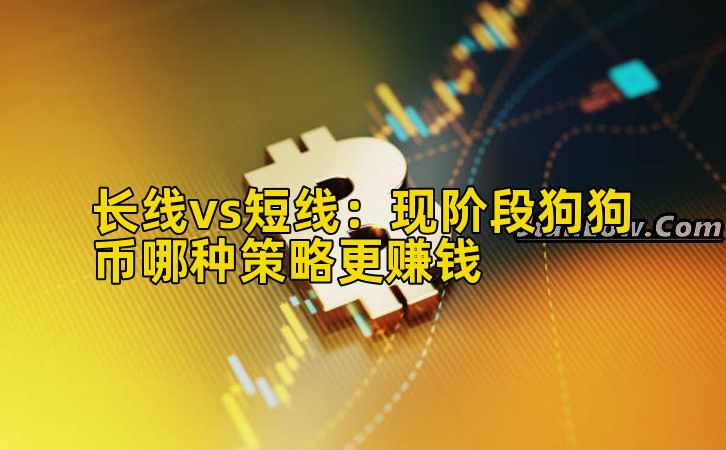 长线vs短线：现阶段狗狗币哪种策略更赚钱