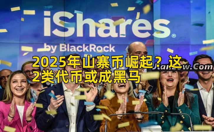2025年山寨币崛起？这2类代币或成黑马