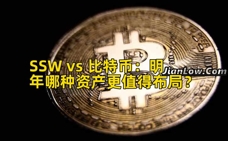 SSW vs 比特币：明年哪种资产更值得布局？