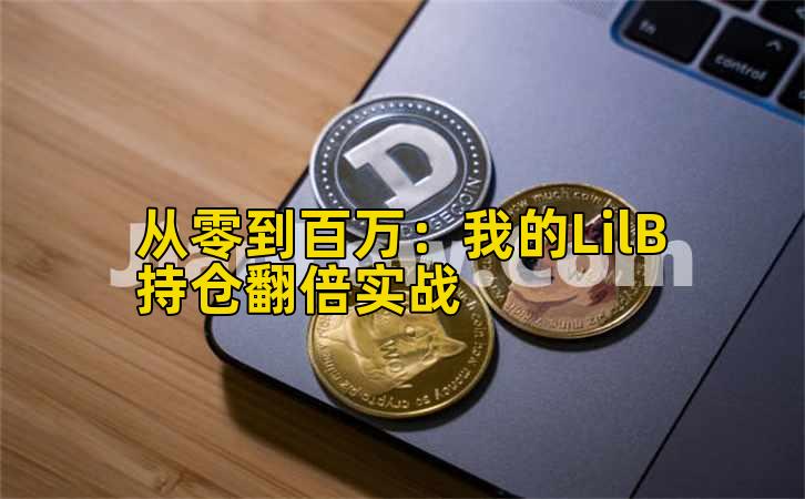 从零到百万：我的LilB持仓翻倍实战