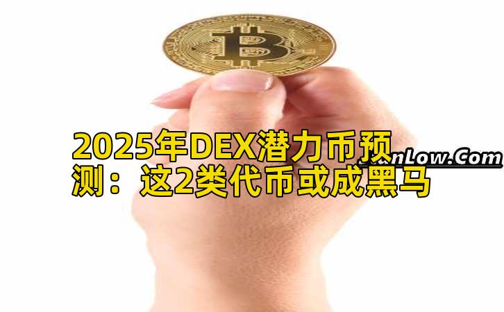 2025年DEX潜力币预测：这2类代币或成黑马