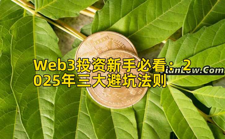 Web3投资新手必看：2025年三大避坑法则