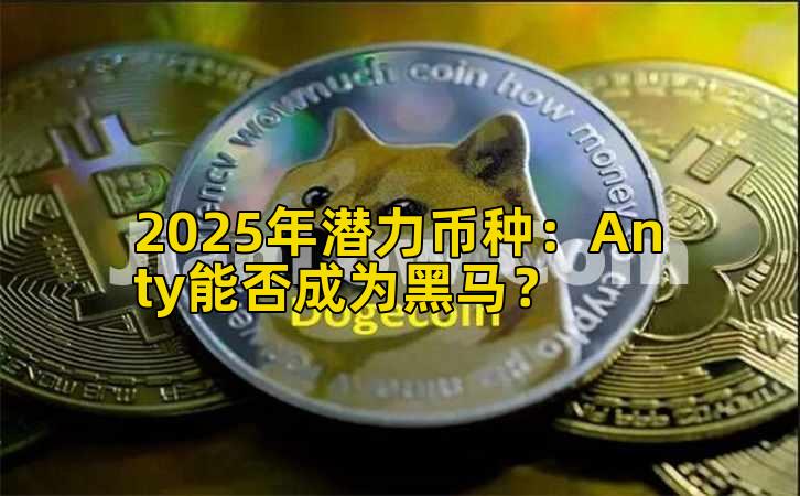 2025年潜力币种：Anty能否成为黑马？