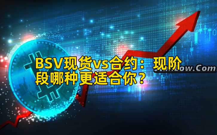 BSV现货vs合约：现阶段哪种更适合你？