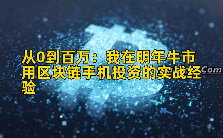 从0到百万:我在明年牛市用区块链手机投资的实战经验