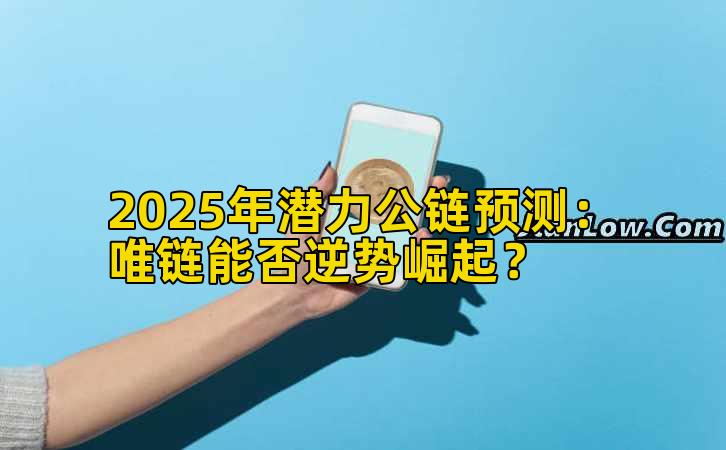 2025年潜力公链预测：唯链能否逆势崛起？