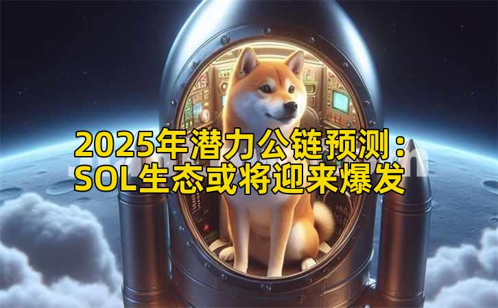 2025年潜力公链预测：SOL生态或将迎来爆发