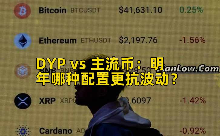DYP vs 主流币:明年哪种配置更抗波动?