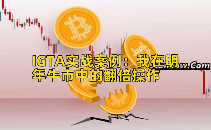 IGTA实战案例：我在明年牛市中的翻倍操作