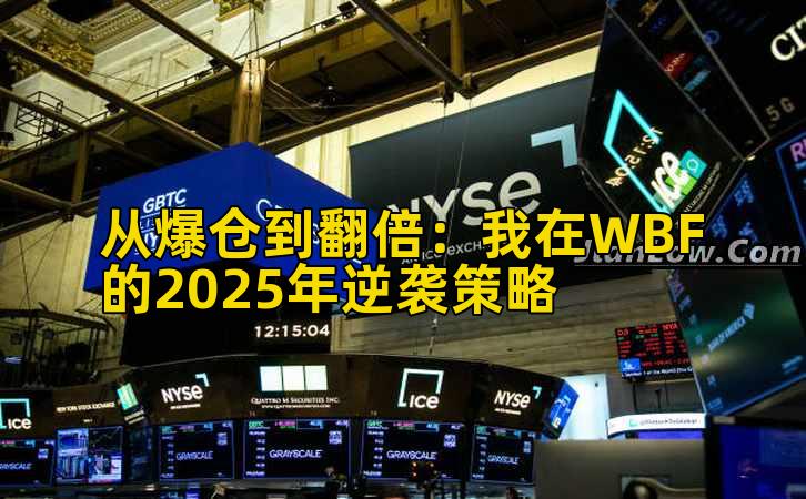 从爆仓到翻倍：我在WBF的2025年逆袭策略