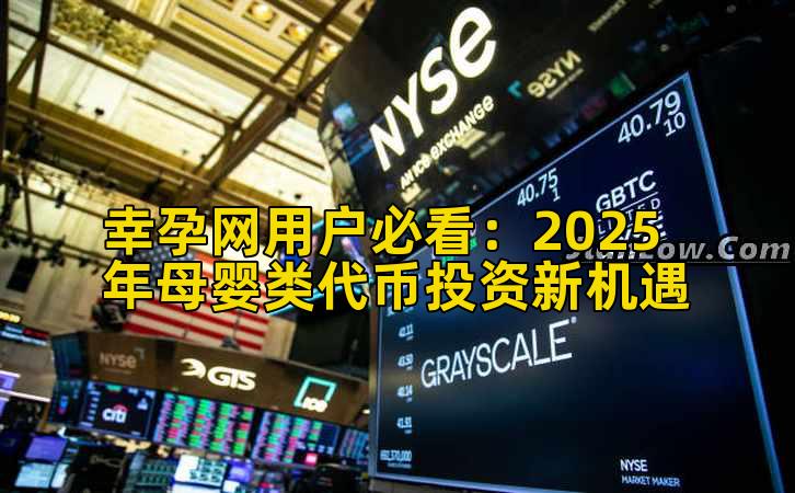 幸孕网用户必看：2025年母婴类代币投资新机遇
