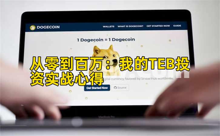 从零到百万：我的TEB投资实战心得
