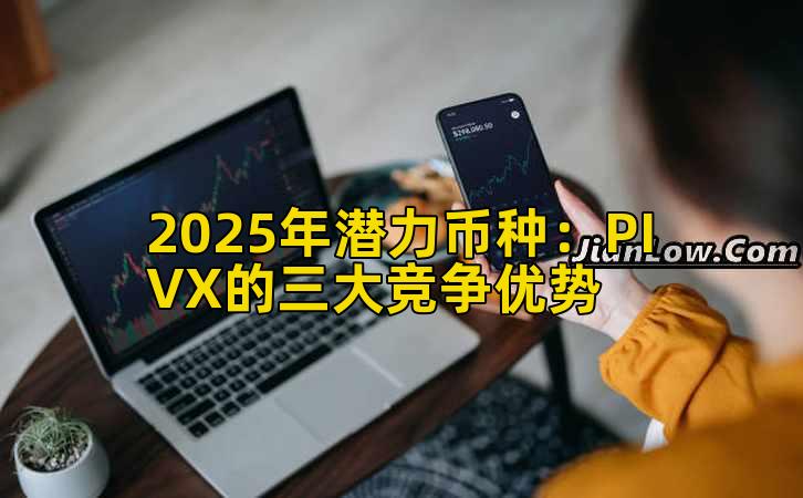2025年潜力币种：PIVX的三大竞争优势
