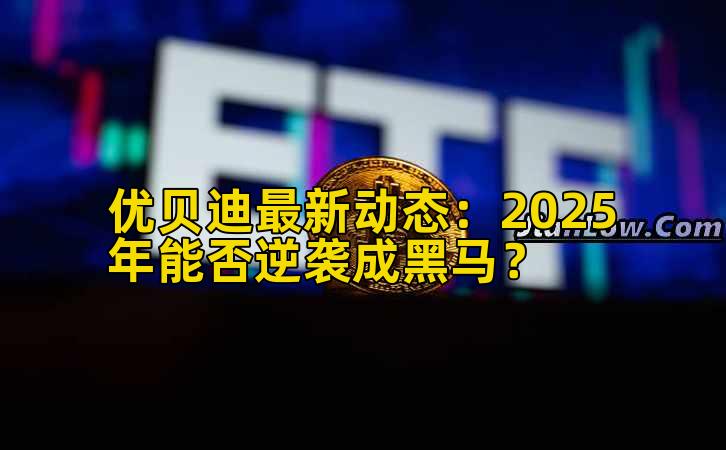 优贝迪最新动态：2025年能否实战成黑马？