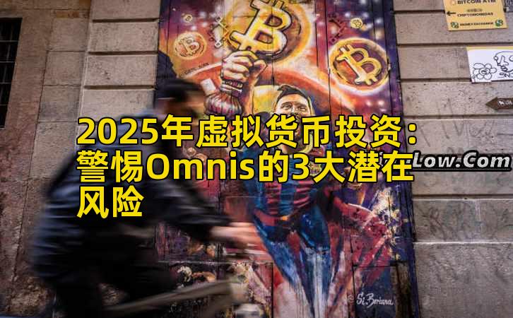 2025年虚拟货币投资：警惕Omnis的3大潜在风险