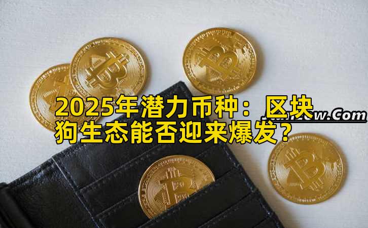 2025年潜力币种：区块狗生态能否迎来爆发？