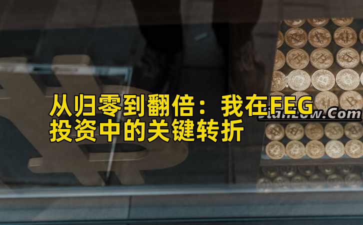 从归零到翻倍：我在FEG投资中的关键转折
