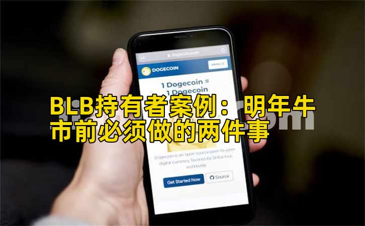 BLB持有者案例：明年牛市前必须做的两件事