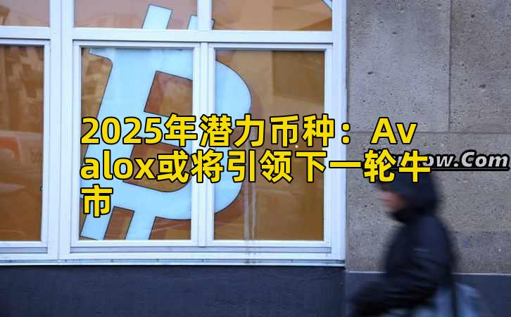 2025年潜力币种：Avalox或将引领下一轮牛市
