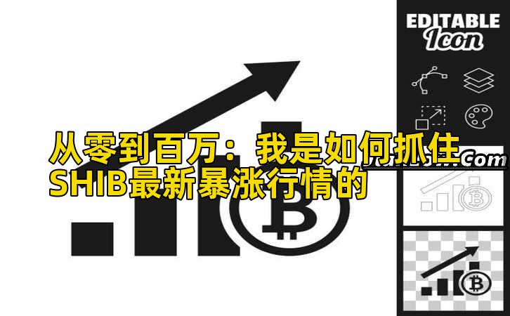 从零到百万：我是如何抓住SHIB最新暴涨行情的