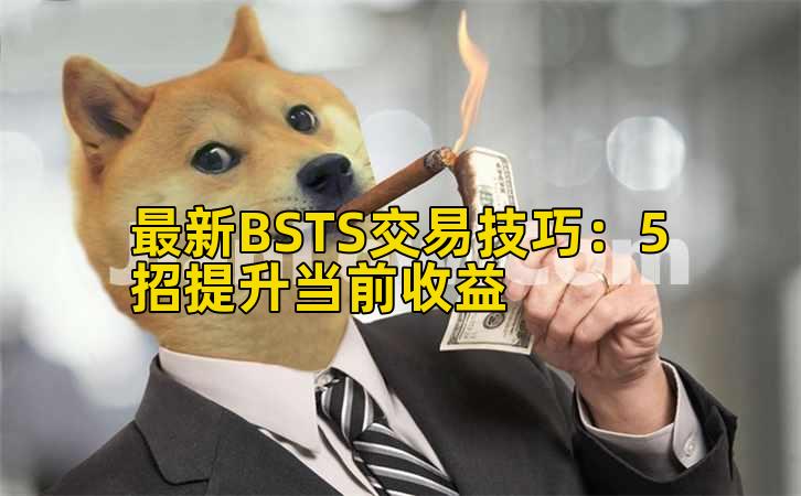 最新BSTS交易技巧:5招提升当前收益