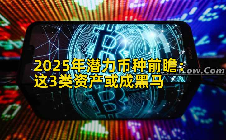 2025年潜力币种前瞻：这3类资产或成黑马
