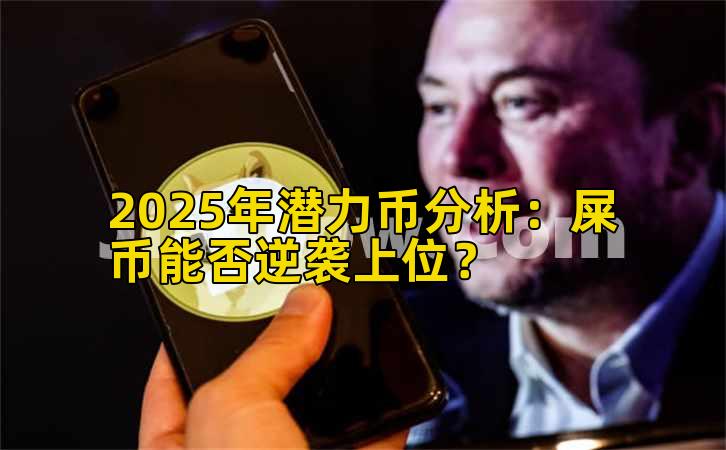 2025年潜力币分析：屎币能否逆袭上位？
