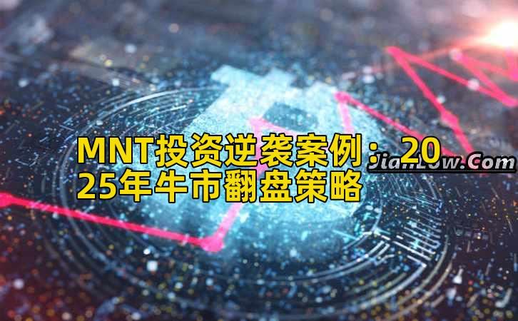 MNT投资逆袭案例：2025年牛市翻盘策略