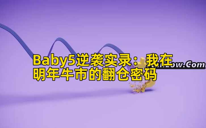 Baby5逆袭实录:我在明年牛市的翻仓密码