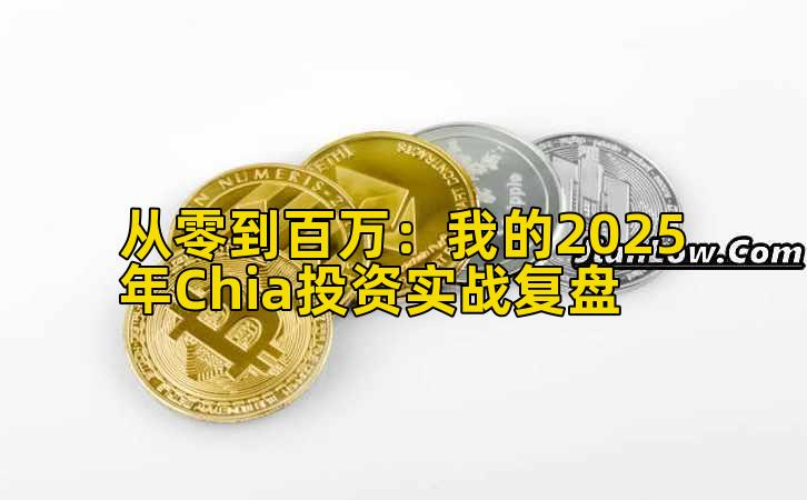 从零到百万：我的2025年Chia投资实战复盘