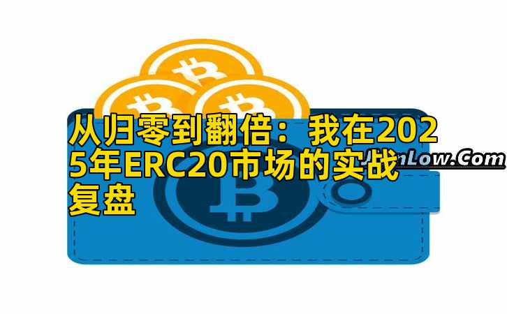 从归零到翻倍：我在2025年ERC20市场的实战复盘
