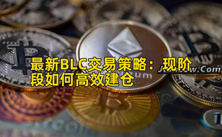 最新BLC交易策略：现阶段如何高效建仓
