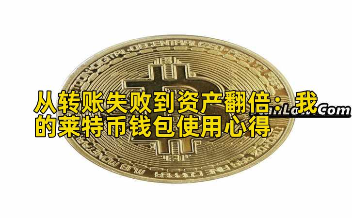 从转账失败到资产翻倍:我的莱特币钱包使用心得