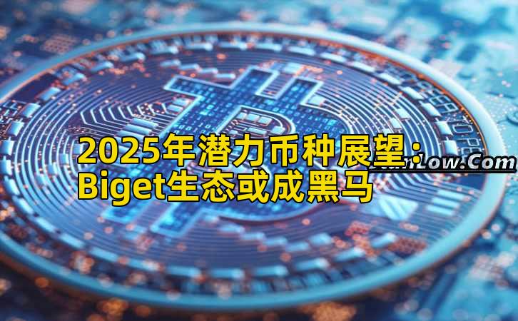 2025年潜力币种展望：Biget生态或成黑马