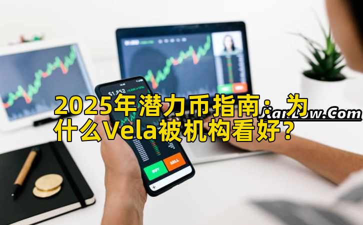 2025年潜力币指南：为什么Vela被机构看好？