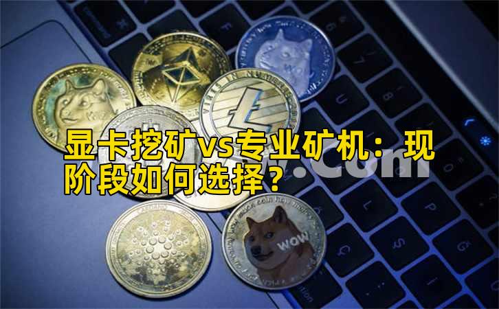 显卡挖矿vs专业矿机:现阶段如何选择?