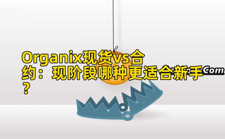 Organix现货vs合约：现阶段哪种更适合新手？