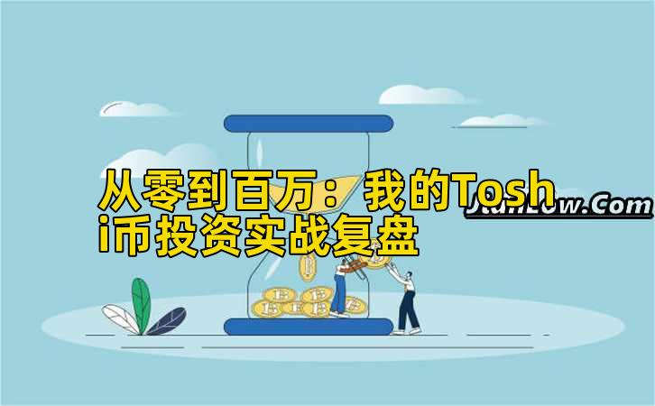 2026年行情分析：我的Toshi币投资实战复盘
