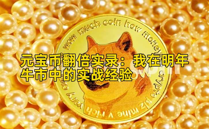 元宝币翻倍实录：我在明年牛市中的实战经验