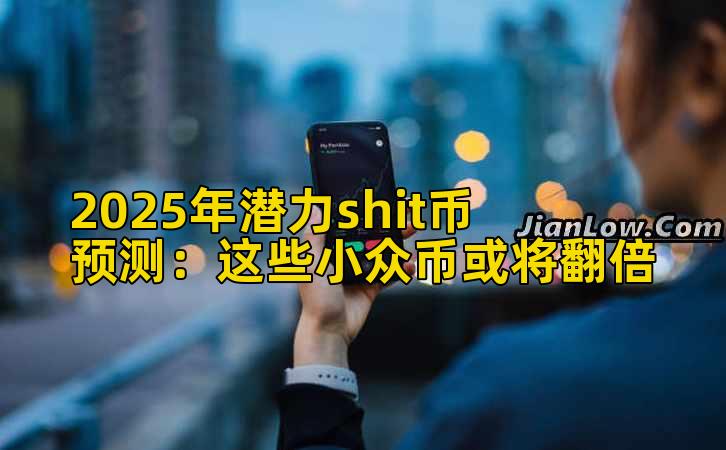2025年潜力shit币预测：这些小众币或将翻倍
