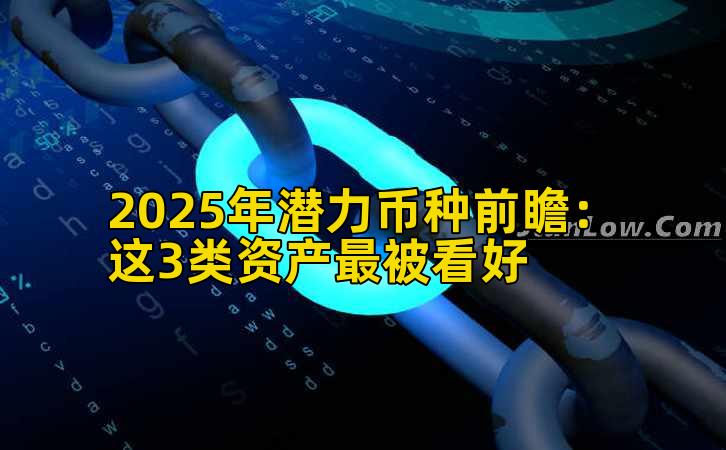 2025年潜力币种前瞻：这3类资产最被看好