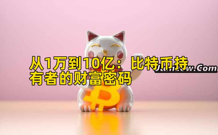 从1万到10亿：比特币持有者的财富密码