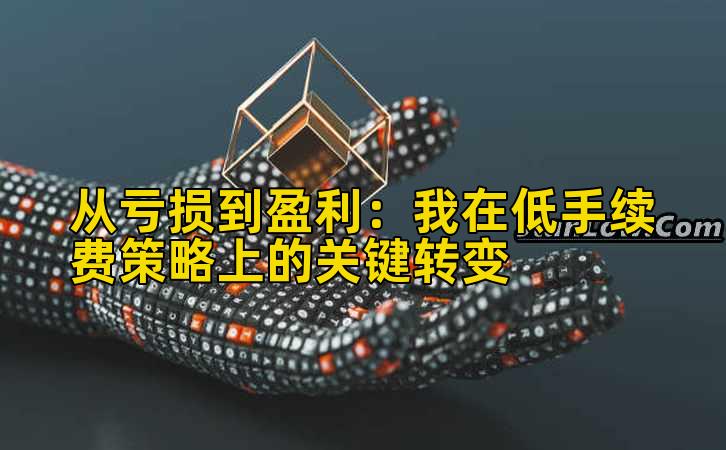 从亏损到盈利：我在低手续费策略上的关键转变