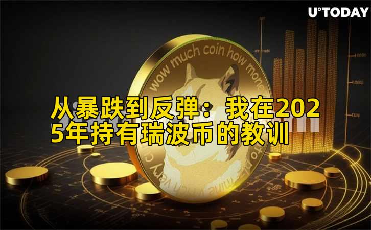 从暴跌到反弹：我在2025年持有瑞波币的教训