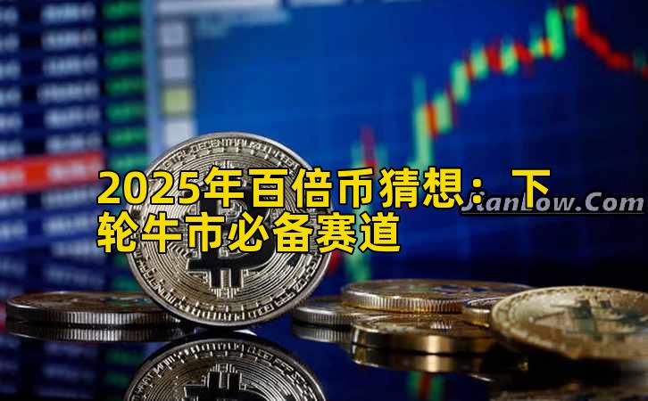 2025年百倍币猜想：下轮牛市必备赛道